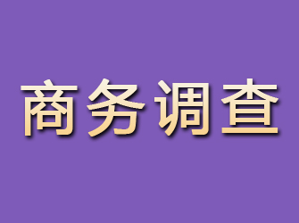 华安商务调查